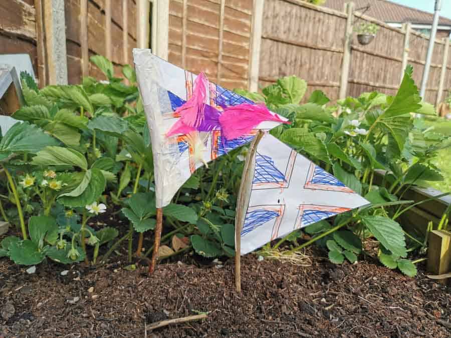 Stick and paper flags in a veg patch
