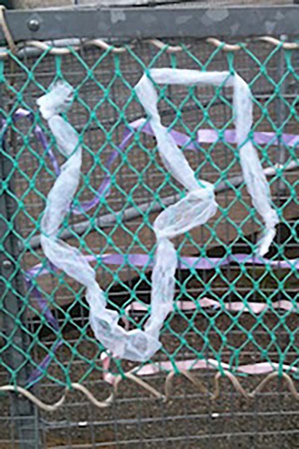 A plastic bag woven through a fence engages the connecting play schema