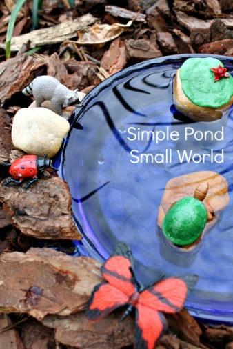 Simple Pond Small World
