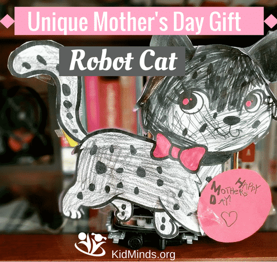 Unique Mother's Day Gift ROBOT CAT #scienceforkids #robots #homeschooling #KBNmoms