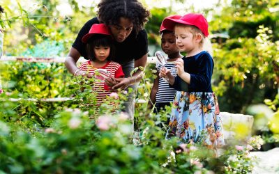 WHY NURTURE A LOVE FOR OUTDOOR PLAY
