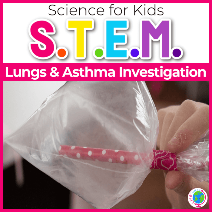 lungs and asthma stem science investigation for kids
