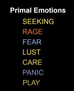 Image listing the 7 primal emotions