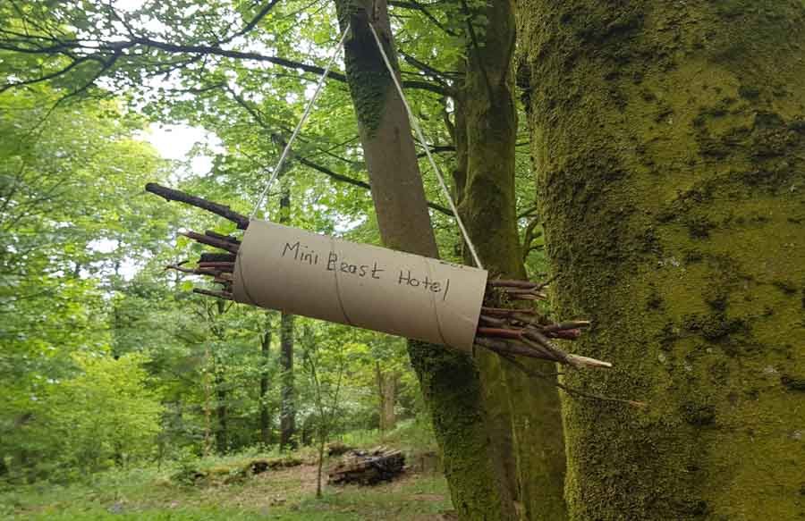 Simple bug hotel hanging in tree