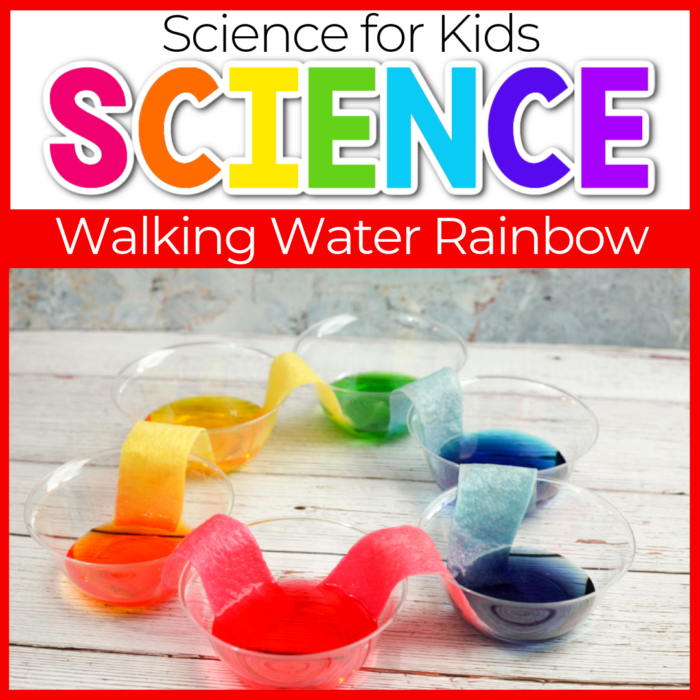 Walking Water Rainbow Science Experiments