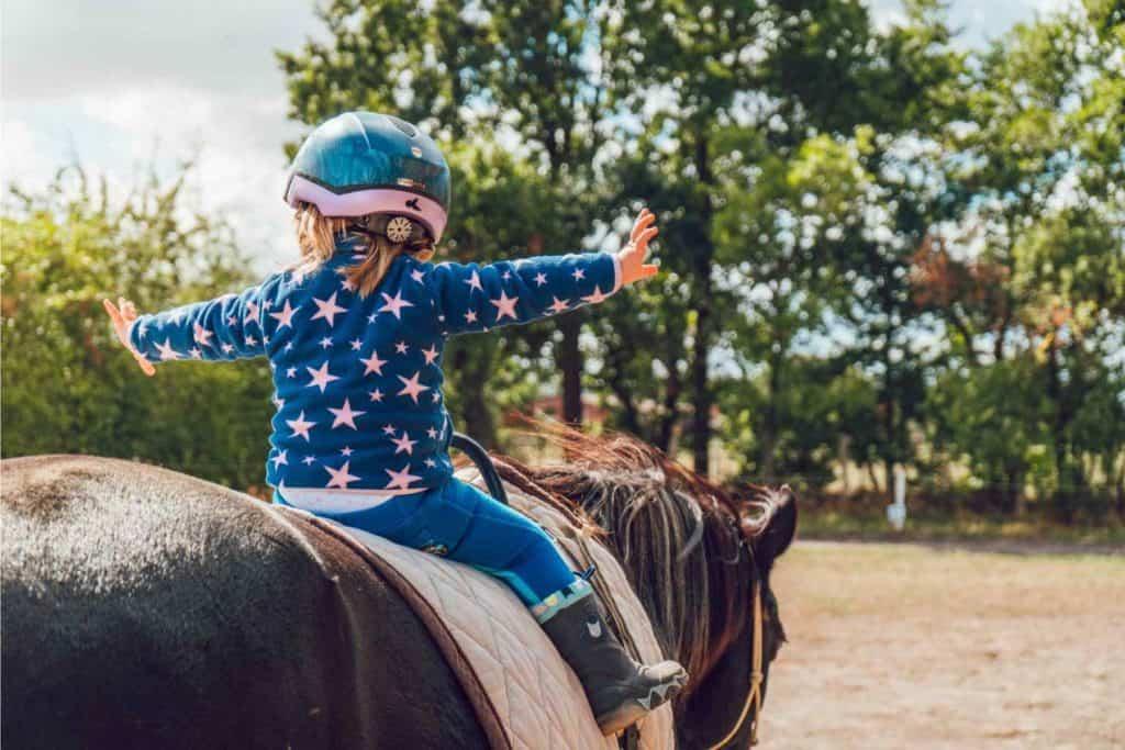 A child riding a horse
Description automatically generated with medium confidence