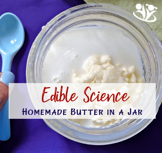 Learn the science of butter making while getting a yummy snack ready. This butter science experiment is good enough to eat.  #kidsactivities #science4kids #kidsscience #stemeducation #stemkids #homeschool #learning