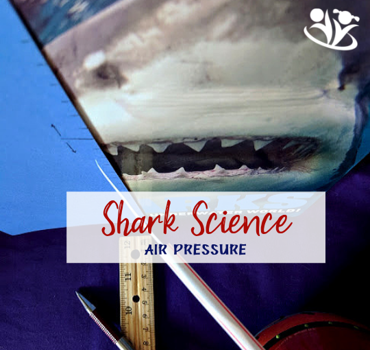 Shark science is fascinating. Not that long ago, scientists discovered that sharks have build-in barometers. They detect the drop in air pressure (and water pressure) and move to safety during violent weather. Today, we will make a homemade barometer and learn how sharks detect the approaching hurricane. #sharks #sharkscience #barometer #handsonlearning #learningallthetime #kids #formoms #boredombusters #funscience #homeschooling #learning #education #airpressure