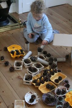 This contains an image of: Discovery Box 11: Pine Cones - The Imagination Tree