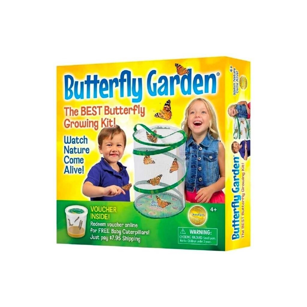 Butterfly garden kit for kids.