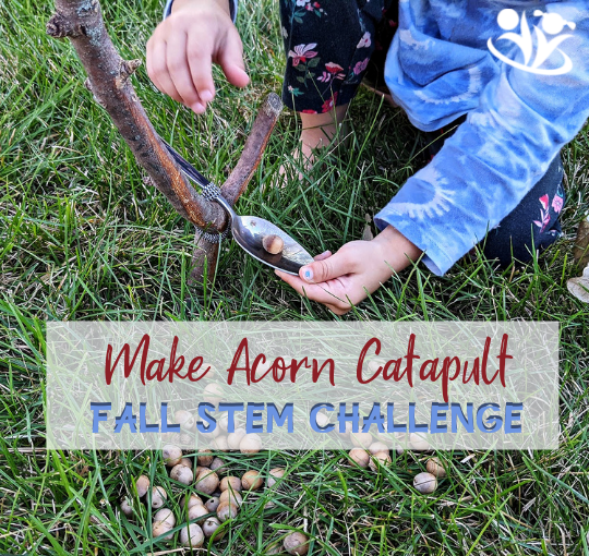 This acorn catapult is easy to make with things you already have handy - sticks, spoons, and hair ties. For an extra challenge, shoot at a target or download our Acorn Catapult Challenge printable. #STEM #science4kids #fall #kidsactivities #acorns