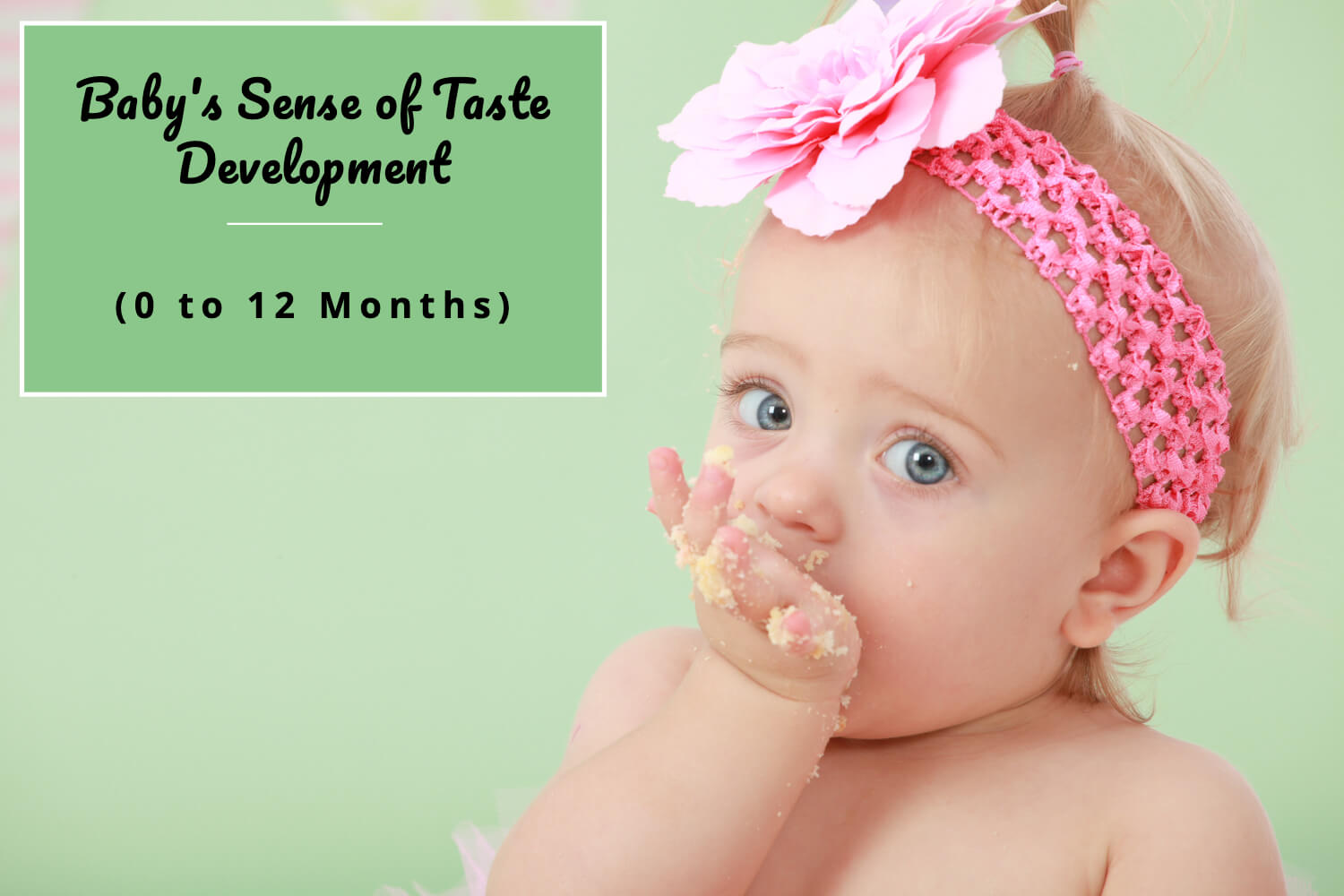 Baby's Sense of Taste Development