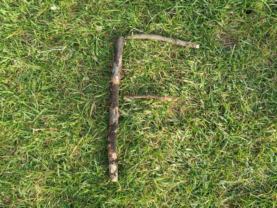 Sticks in shape of f on grass