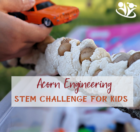 Acorns and play-dough engineering challenge is a super fun way to engage children in STEM learning. #kidsactivitives #fall #scienceforkids