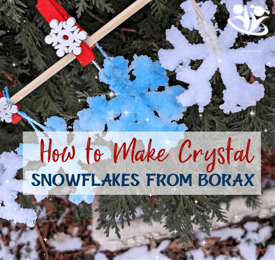 These crystal snowflakes are not only beautiful to look at, but they also offer a fantastic science lesson as well. This activity explores saturation, evaporation, solutions, how temperature affects chemistry, and how molecules can fit together in a repeated pattern (crystallization) . #kidscience #STEM #elementaryeducation #kidminds #handsonlearning #kidsactivities