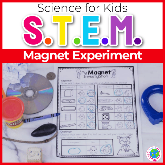 STEM magnet experiment for kids