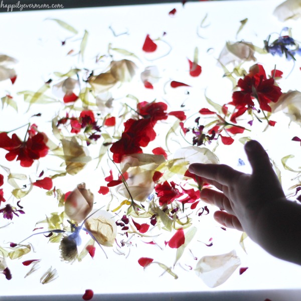 Gorgeous light table activities for kids all with flowers!