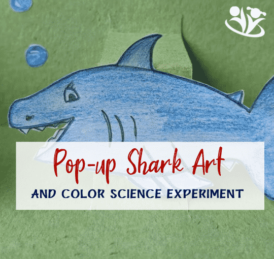 Shark art and color science experiment. Experiment with acid and alkaline compounds to obtain natural colors from red cabbage and use them to paint a world under the ocean. Add a pop-up shark and treasure chest for an extra bit of creativity and to get in the mood for shark week. #sharkart #colorscience #kids #handsonlearning #homeschooling #earlyeducation #laughingkidslearn #kidminds #sharkweek #kidscraft #popupshark #sharks #crafts