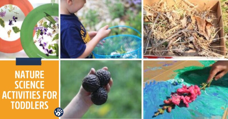 Nature science activities for toddlers!