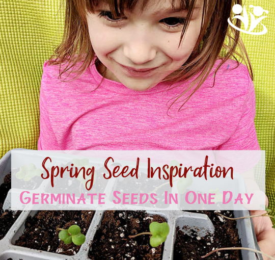 How to germinate seeds in one day #seeds #spring #science #handsonlearning