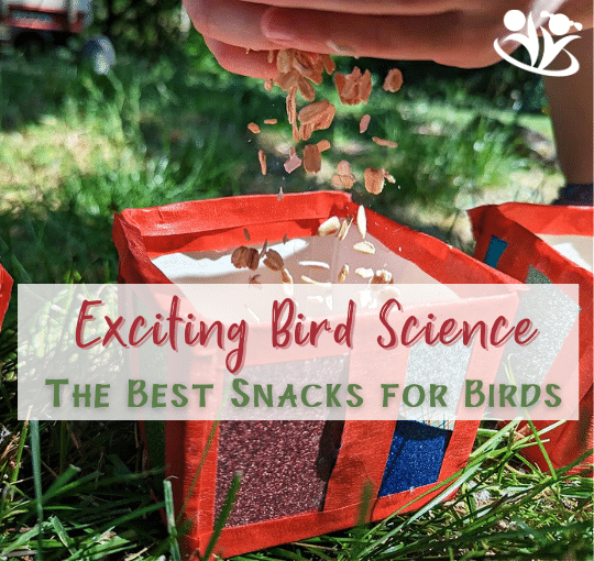 With this simple-to-put-together bird science activity, your kids can have a blast learning more about the birds in their own backyard! The activity uses inexpensive supplies from your kitchen, and its fun, educational, and great for kids of all ages. #handsonlearning #kidminds #earlyeducation #earlylearning #laughingkidslearn #kidsactivities #kidactivity #birdscience #STEAM #scienceprintables