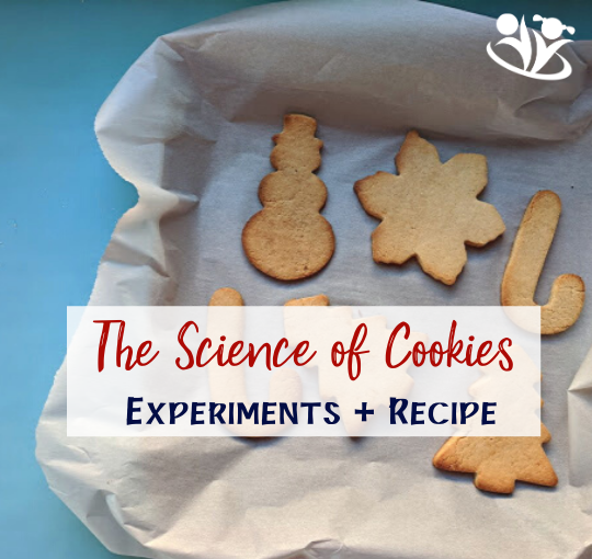 Your budding chemists will be delighted to try these cookie experiments. You’ll be delighted, too: our recipe uses only the healthiest ingredients, so your kids can learn some science while getting a healthy snack. #sweetscience #scienceofchristmascookies #winteractivities #handsonlearning #winterscience #science #scienceforlittlekids #kitchenscience #laughingkidslearn #kidminds #cookieexperiments #bestactivities #kidsactivities #christmasfamilytime #funfamily #creativemommy