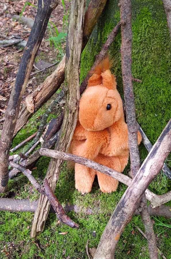 Stuffed toy squirrel in mini den made of sticks