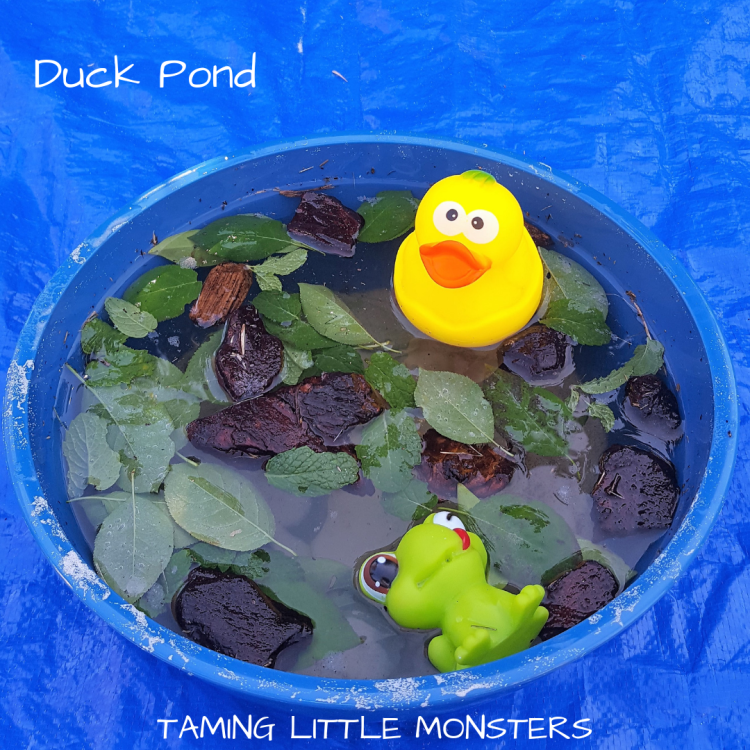 small world duck pond