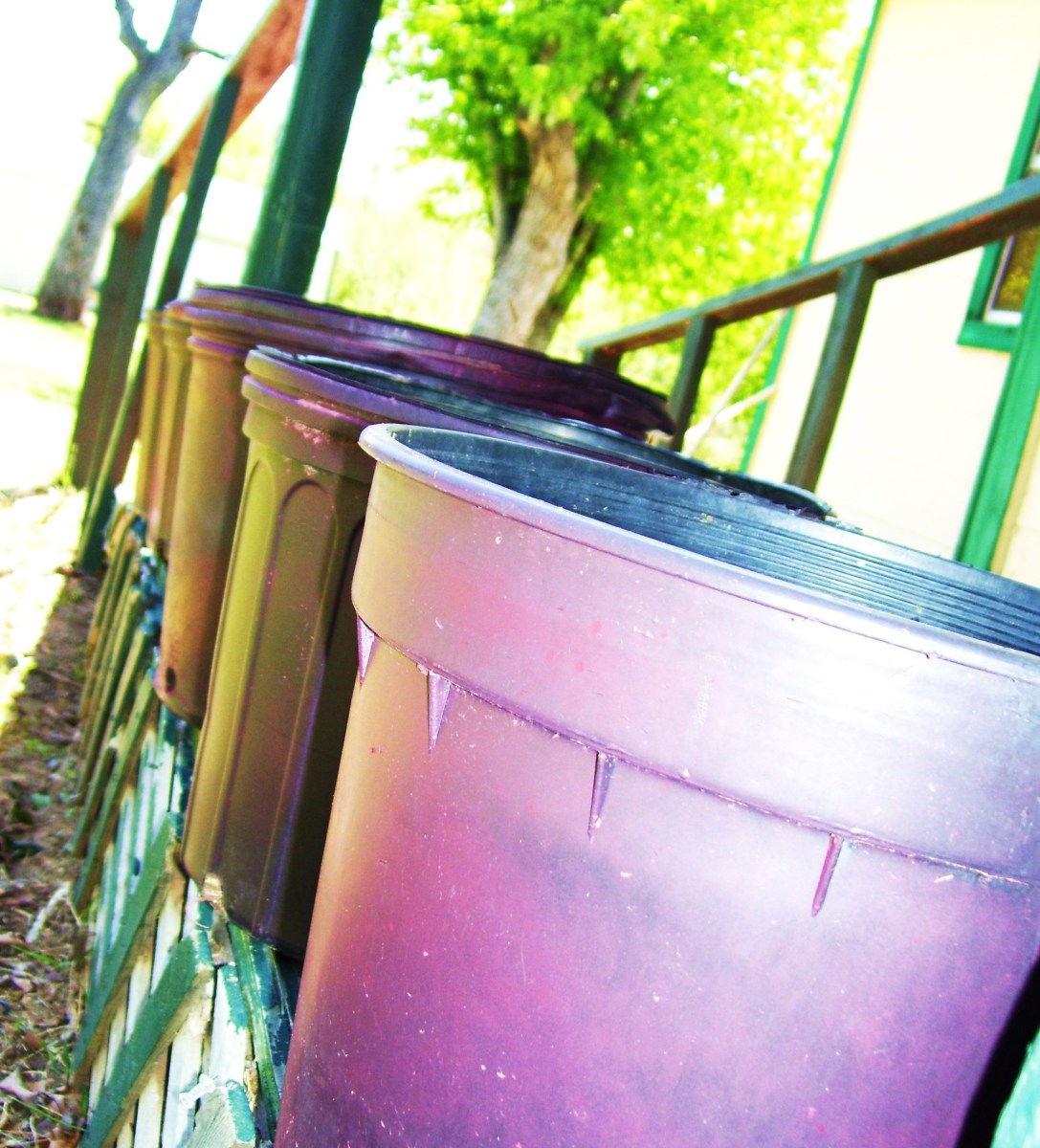 Pink pots all lined up and waiting for marigolds.