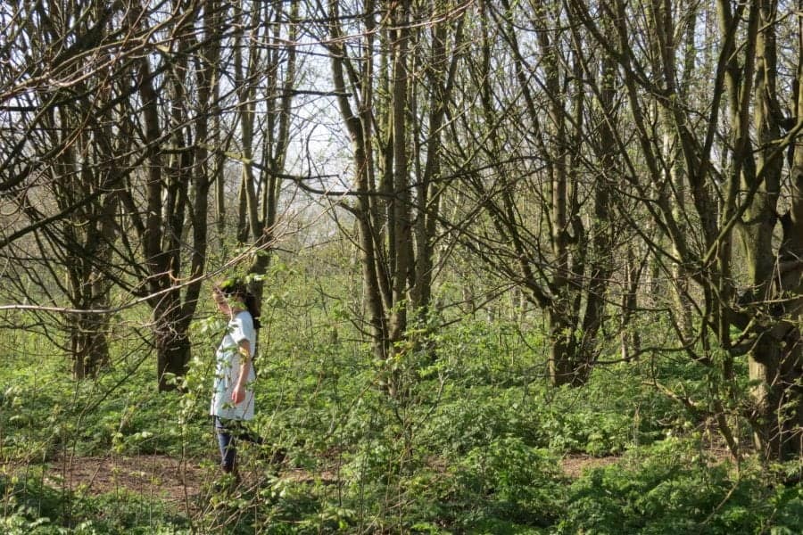 fun things for kids to do on a woodland walk