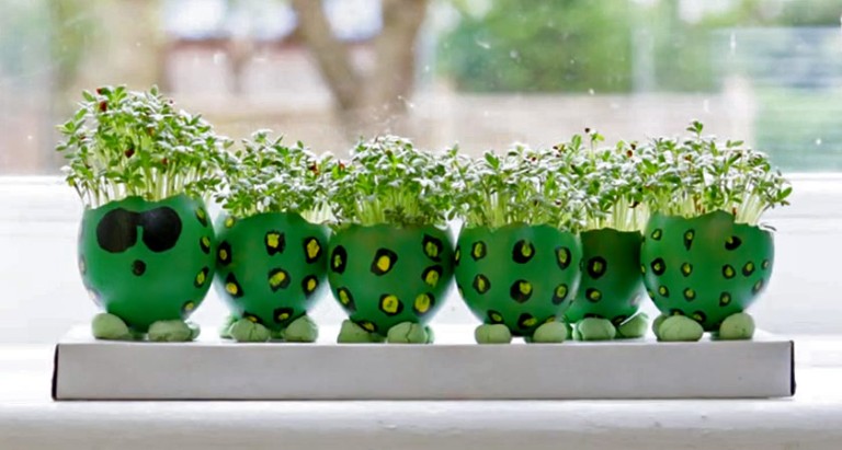 A row of eggsheels painted to look like a caterpillar, with cress growing from their tops
