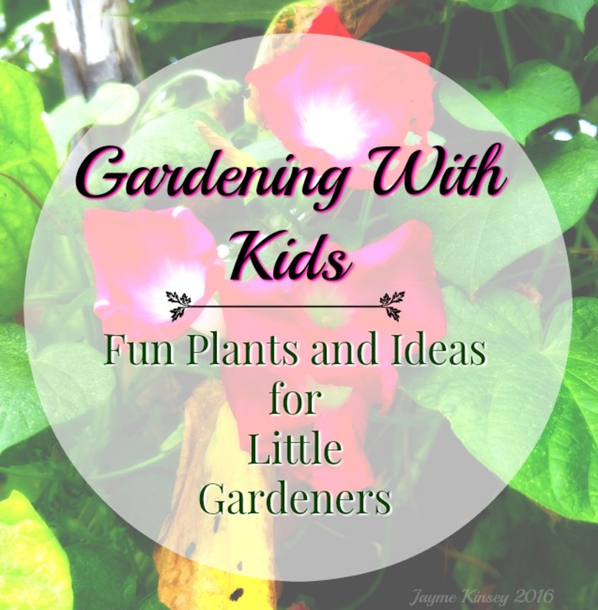 Tips and tricks for gardening with kids!