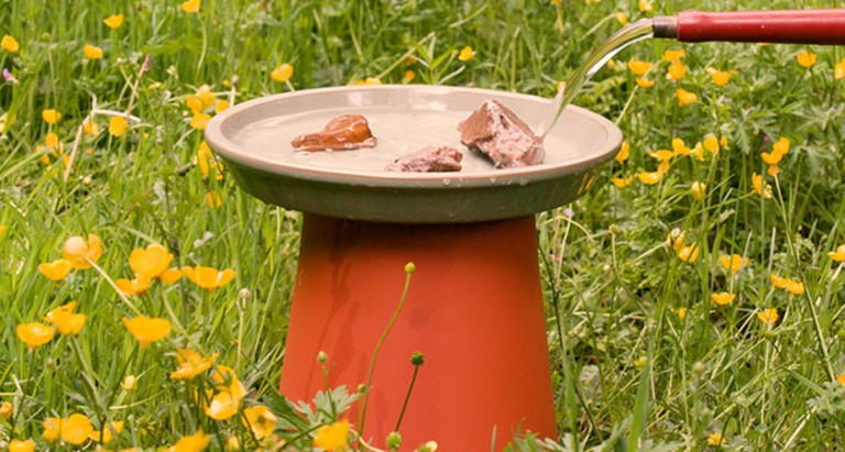  a simple bird bath being filled with water from a watering can