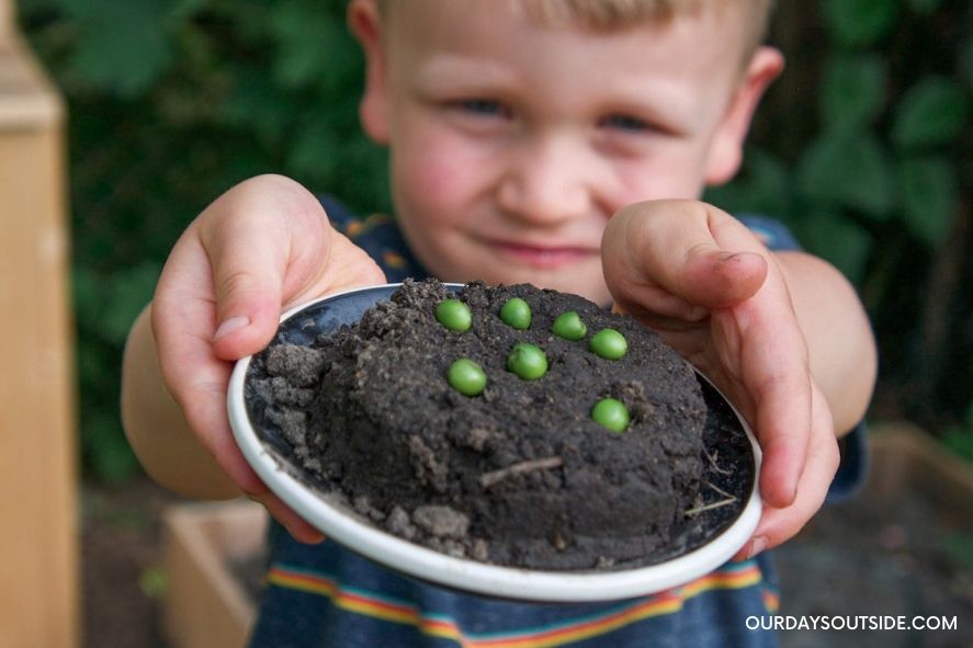 small boy holding out mud pie on a plate- spring activities