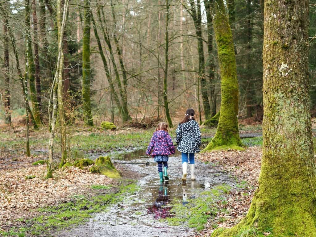 fun things to do on woodland walk with kids