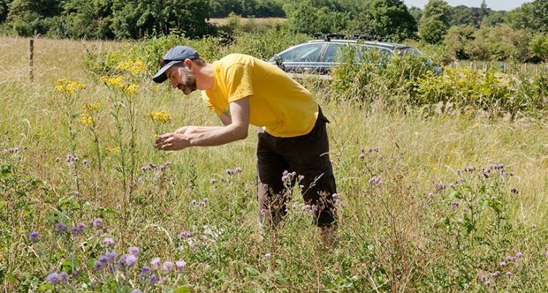 A man stands in tall grass, inspecting flowers