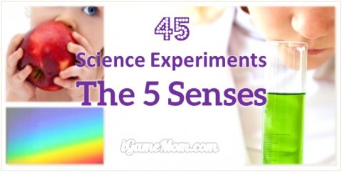 science activities for kids about five senses