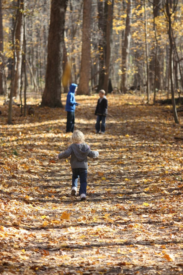 Nature Hikes with the kids are a great free activity with kids. Enjoy a fun day out exploring nature with the whole family. 