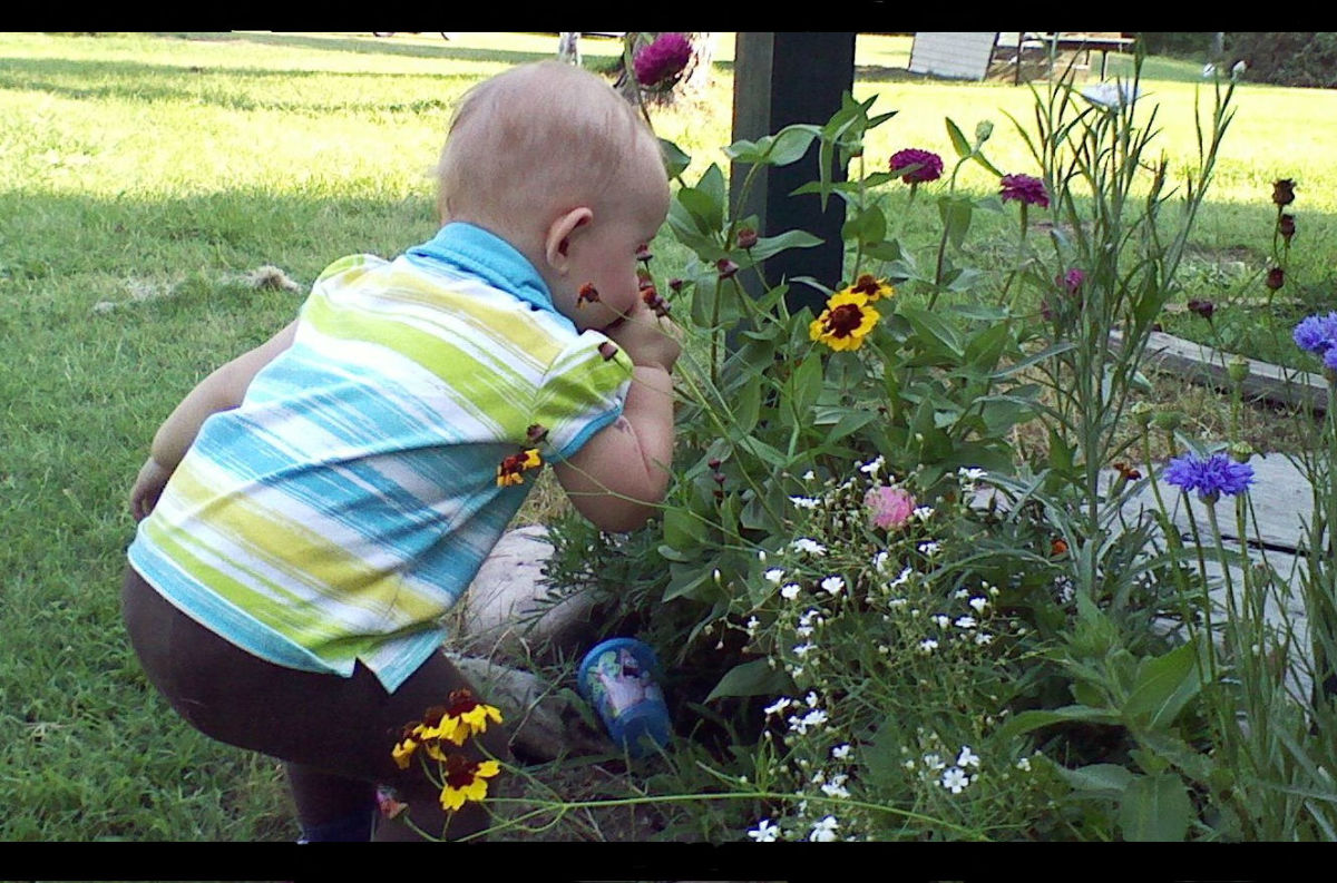 Children always take time to smell the flowers. 