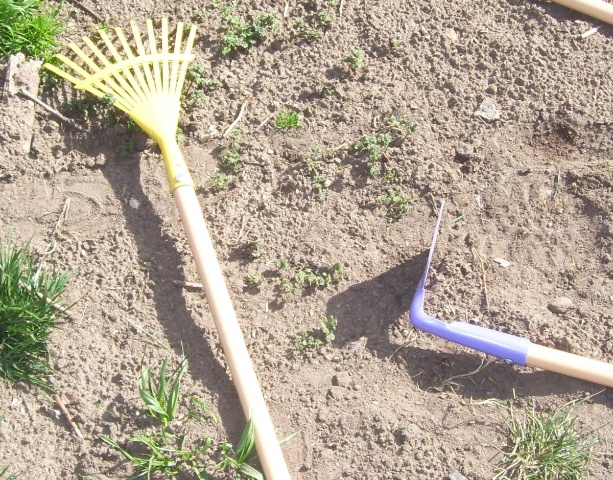 Metal rake and hoe made just for tiny hands.