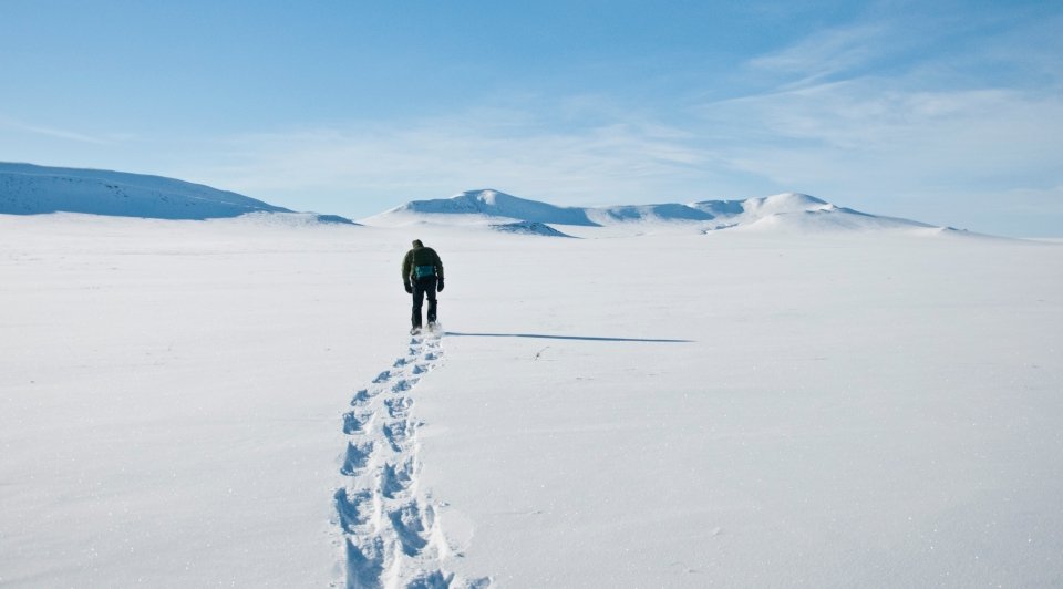 A ranger snowshoes across expansive untracked snow-covered tundra