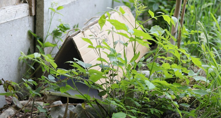 A triangular cardboard tunnel placed in a garden