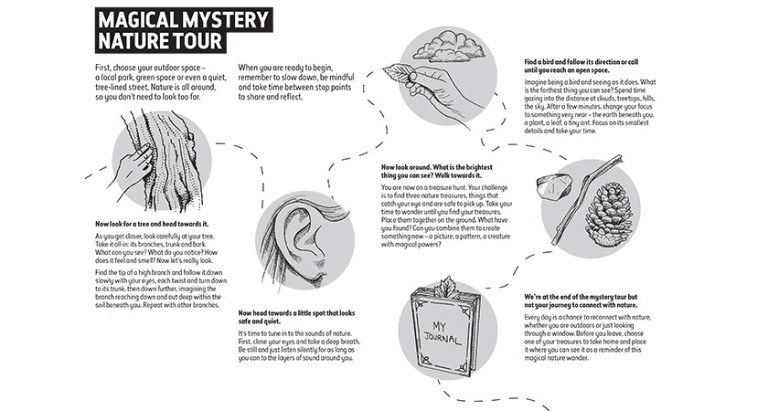 Illustrations explainig what you can do on your mystery nature tour