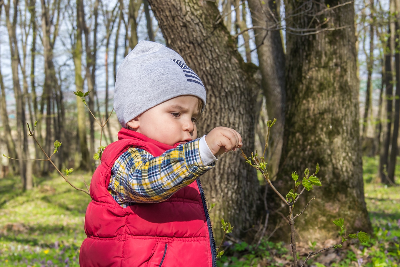 Child Examining a Leaf on a Nature Walk