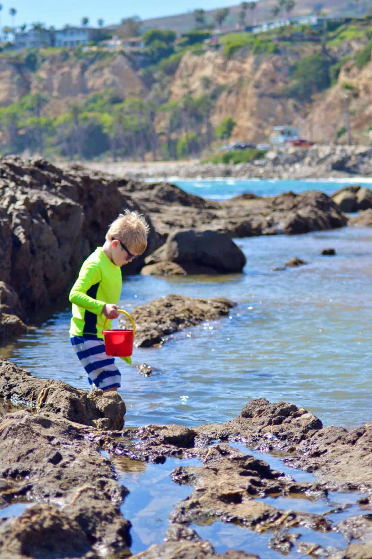 If you want to know how to tour tide pools with kids in Los Angeles, here’s a little advice to ensure your next visit is educational, respectful and fun!